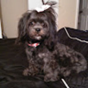 Meet your Posher, Karmen